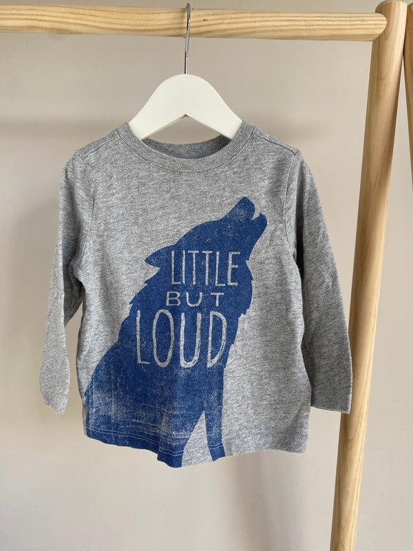 OLD NAVY Long Sleeve (12-18 Months)