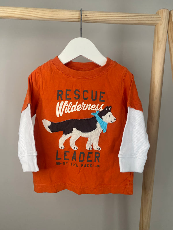CARTERS Long Sleeve (9 Months)