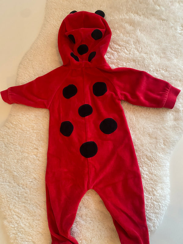 LADY BUG HALLOWEEN COSTUME (3 months)
