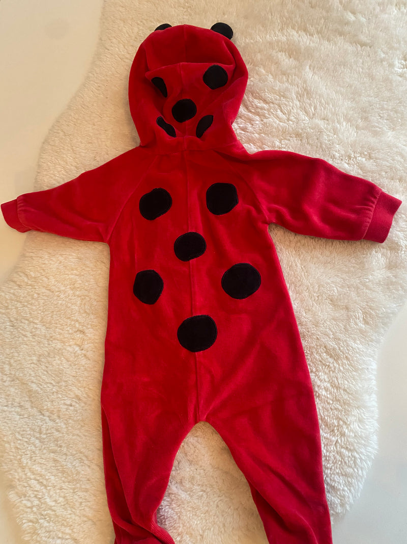 LADY BUG HALLOWEEN COSTUME (3 months)