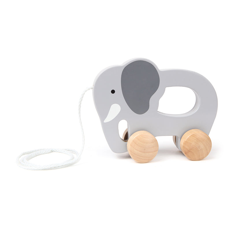 ELEPHANT – HAPE