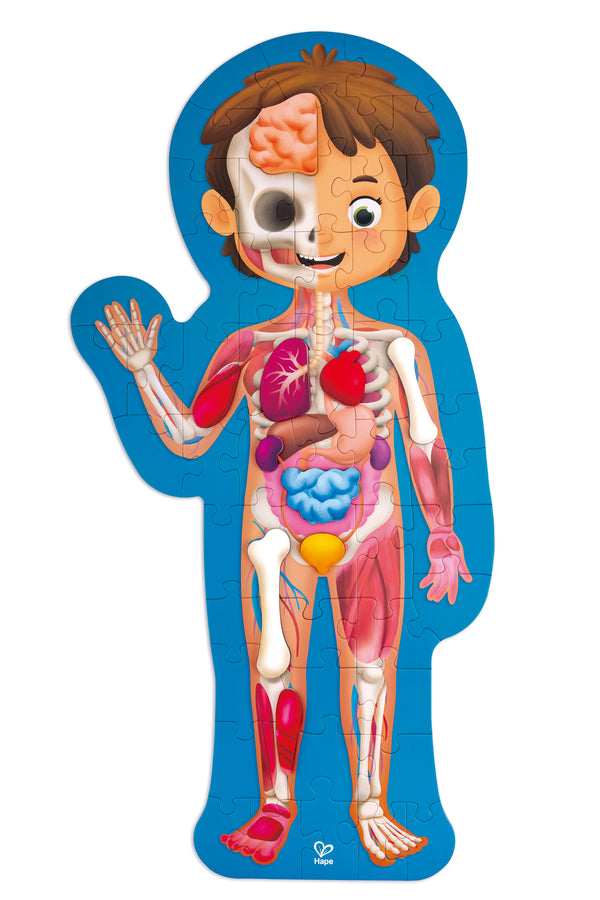 HUMAN BODY PUZZLE – HAPE