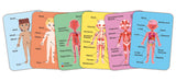 HUMAN BODY MAGNETIC PUZZLE – HAPE