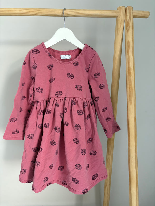 LITTLE EARTHLINGS Dress (3-4 Years)