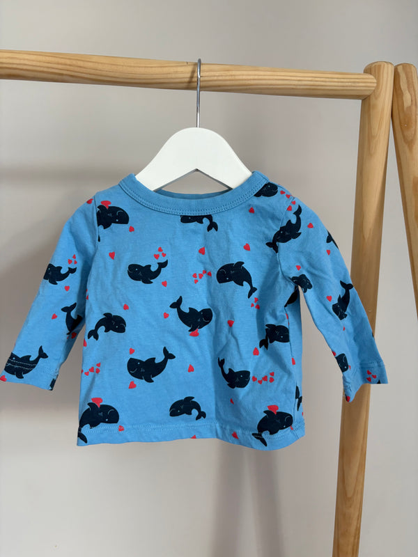 JOE FRESH (3-6 Months)