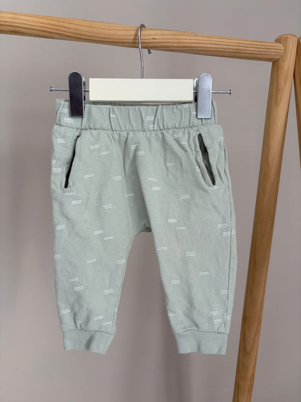 BASICS (3-6 Months)