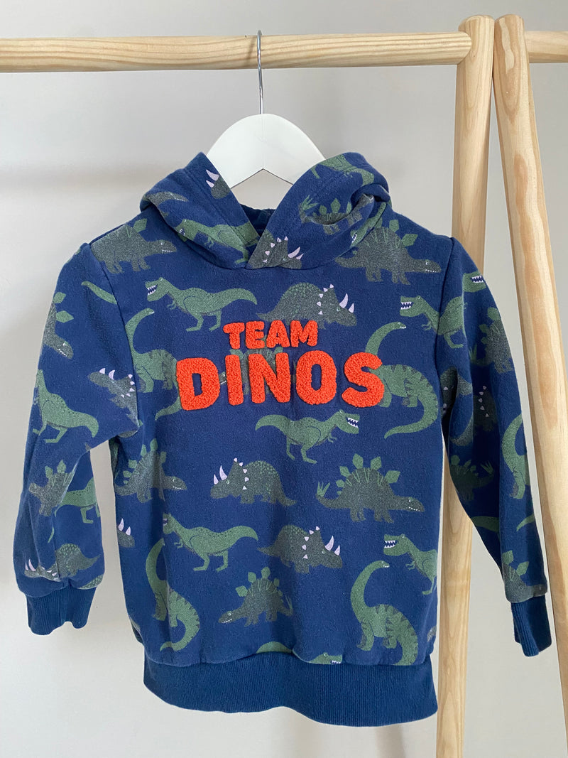 H&M “Team Dinos” Pullover Hoodie (4-6 Years)