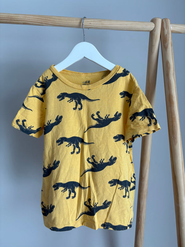 H&M (4-6 Years)