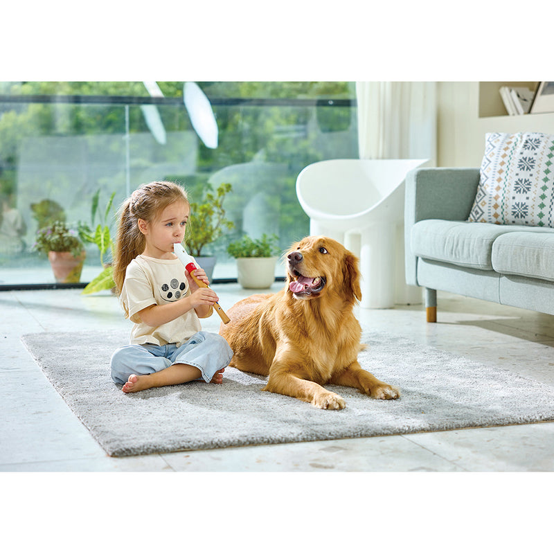 MINI MUSICIAN’S STARTER RECORDER – HAPE