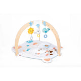 SNUGGLE BEAR ACTIVITY GYM – HAPE