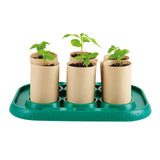 GROWING GARDENER”S GREENHOUSE – HAPE