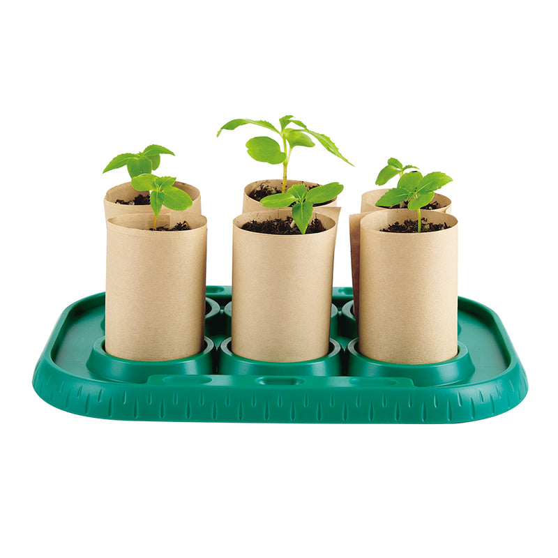 GROWING GARDENER”S GREENHOUSE – HAPE