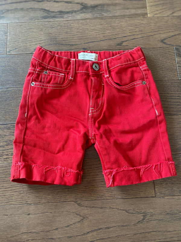 ZARA Shorts (6 Years)