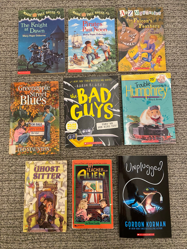 Kids Chapter Books Lot