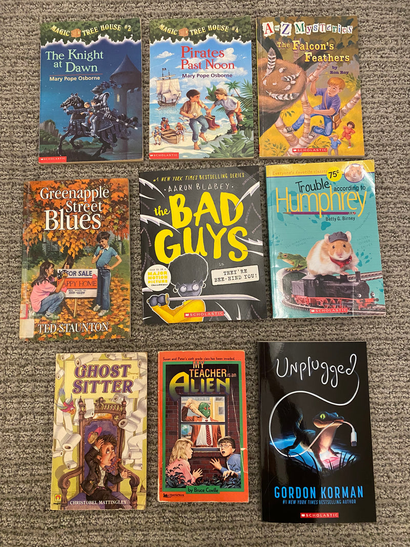 Kids Chapter Books Lot