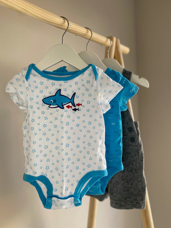 ROCOCO Set (9 Months)